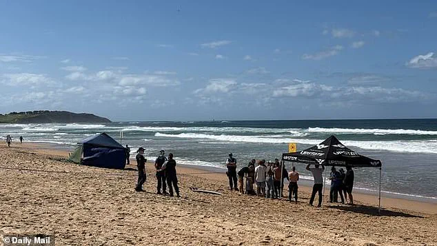 Five-Metre Great White Shark Kills 57-Year-Old Surfer at Dee Why Beach